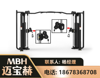 巴中大飞鸟训练器